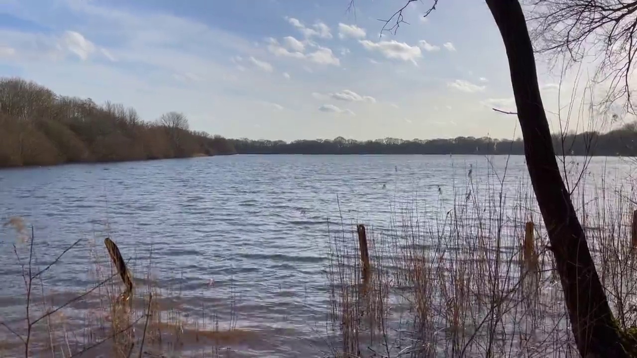 在正午的阳光下看一个湖，同时风摇动着草视频下载
