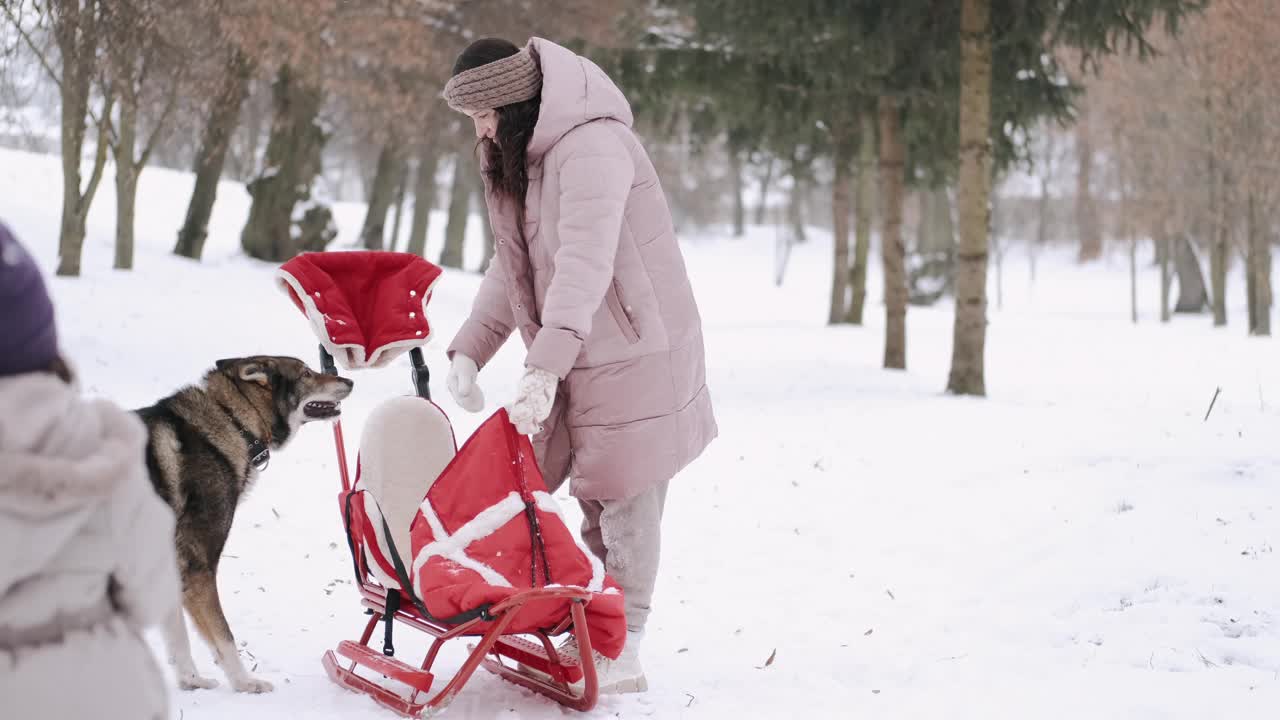 母亲和女儿乘着雪橇在公园里散步视频下载