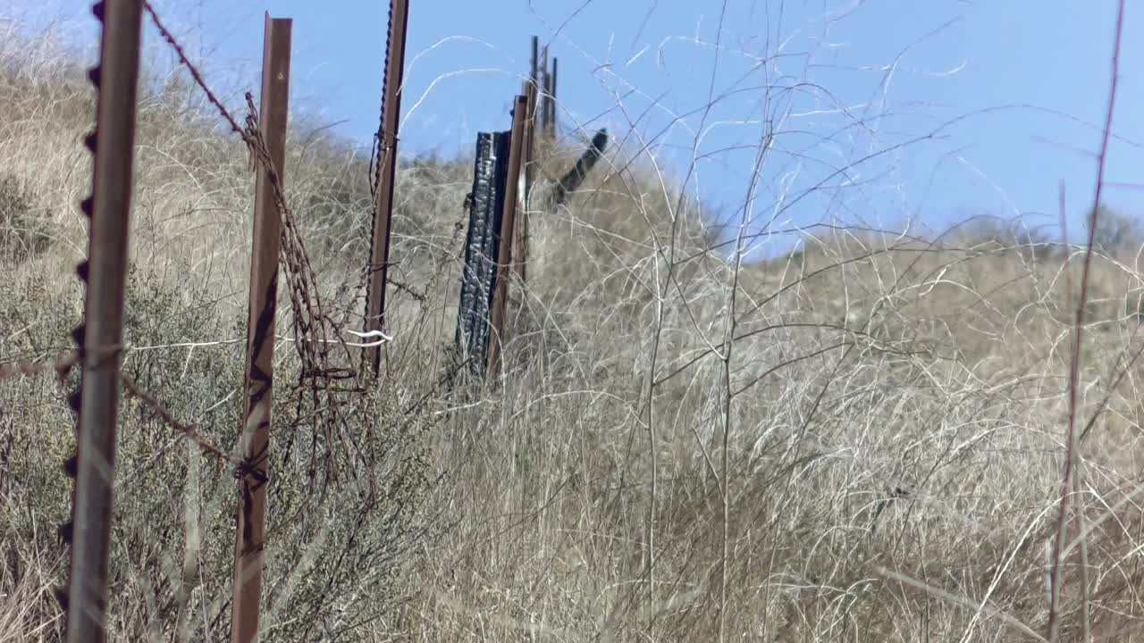 慢动作镜头，野草对着生锈的铁丝网围栏，蓝天视频素材
