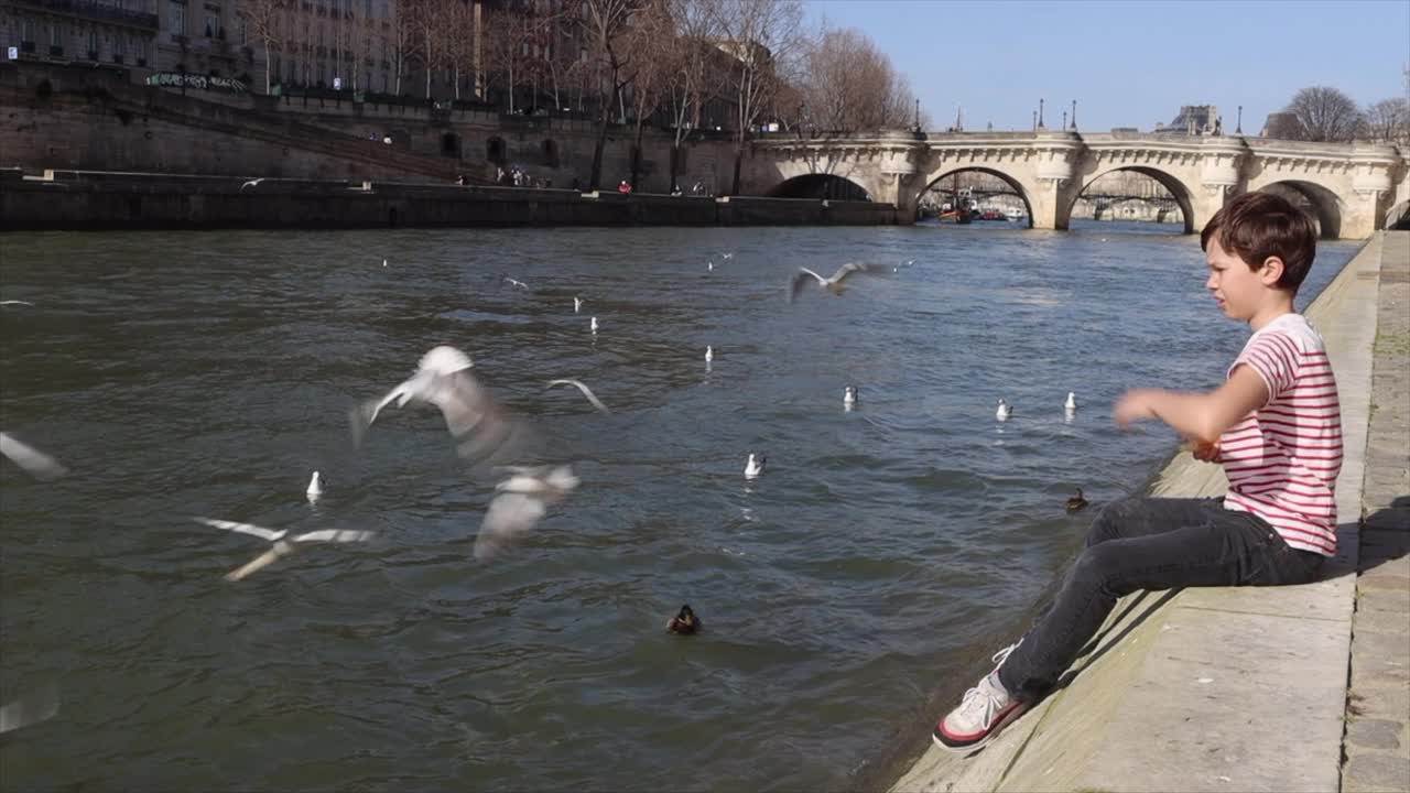 孩子在巴黎塞纳河岸边喂海鸥视频下载