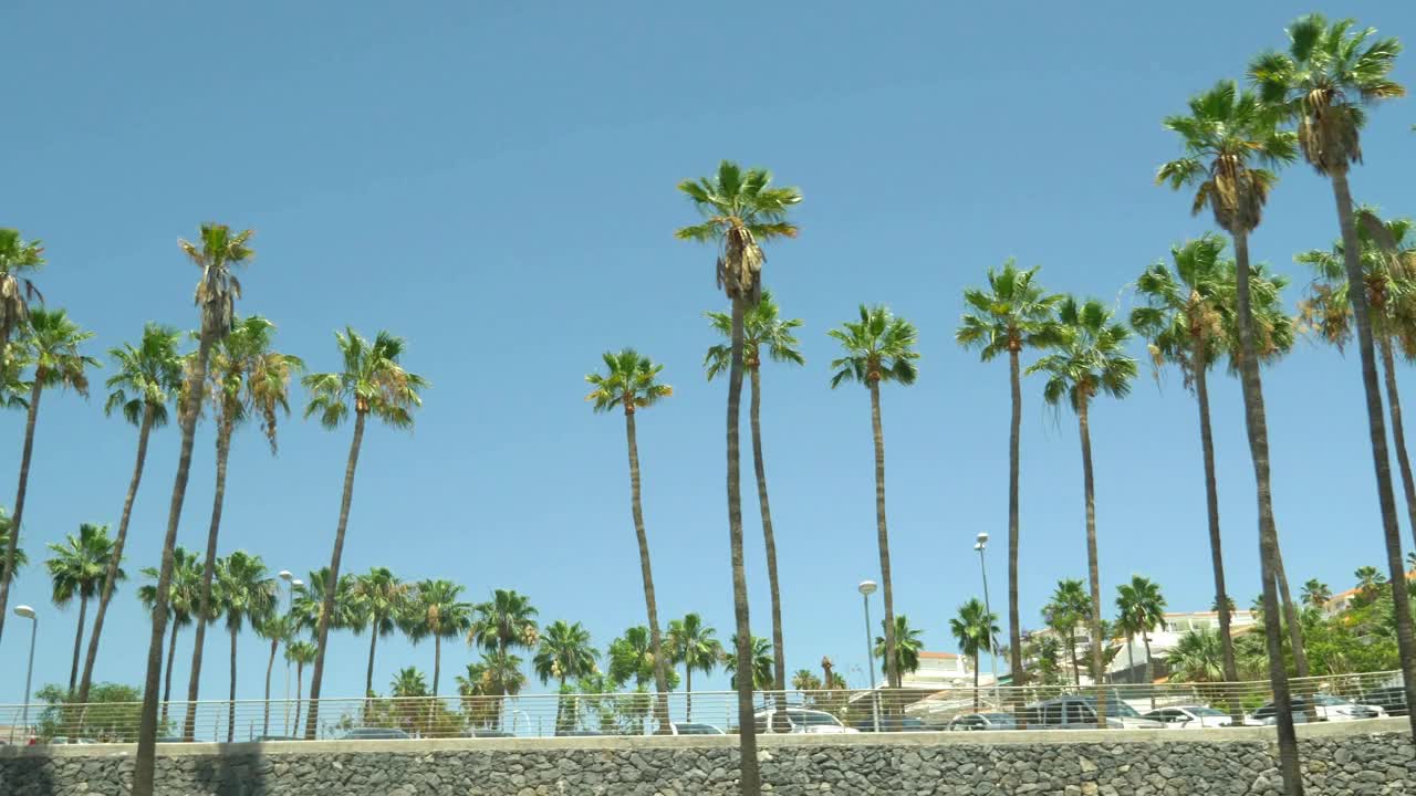 在棕榈树下驾驶，4K慢镜头60fps视频素材