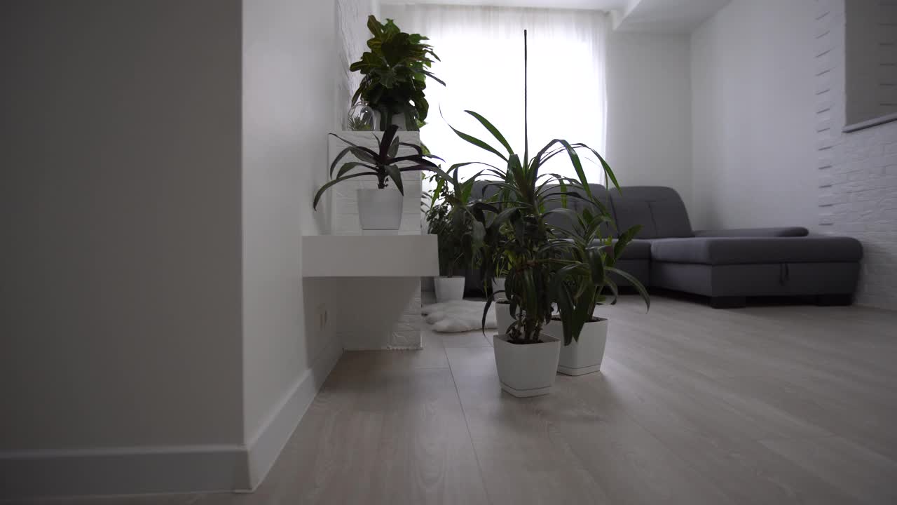 公寓内部概述，休息室和厨房空视频下载
