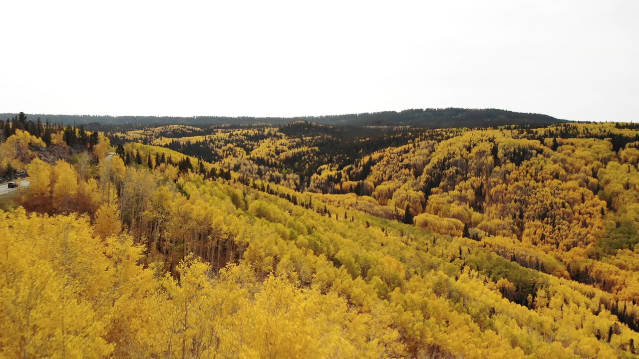 Grand Mesa国家森林秋天的风景在西科罗拉多4K系列视频视频下载