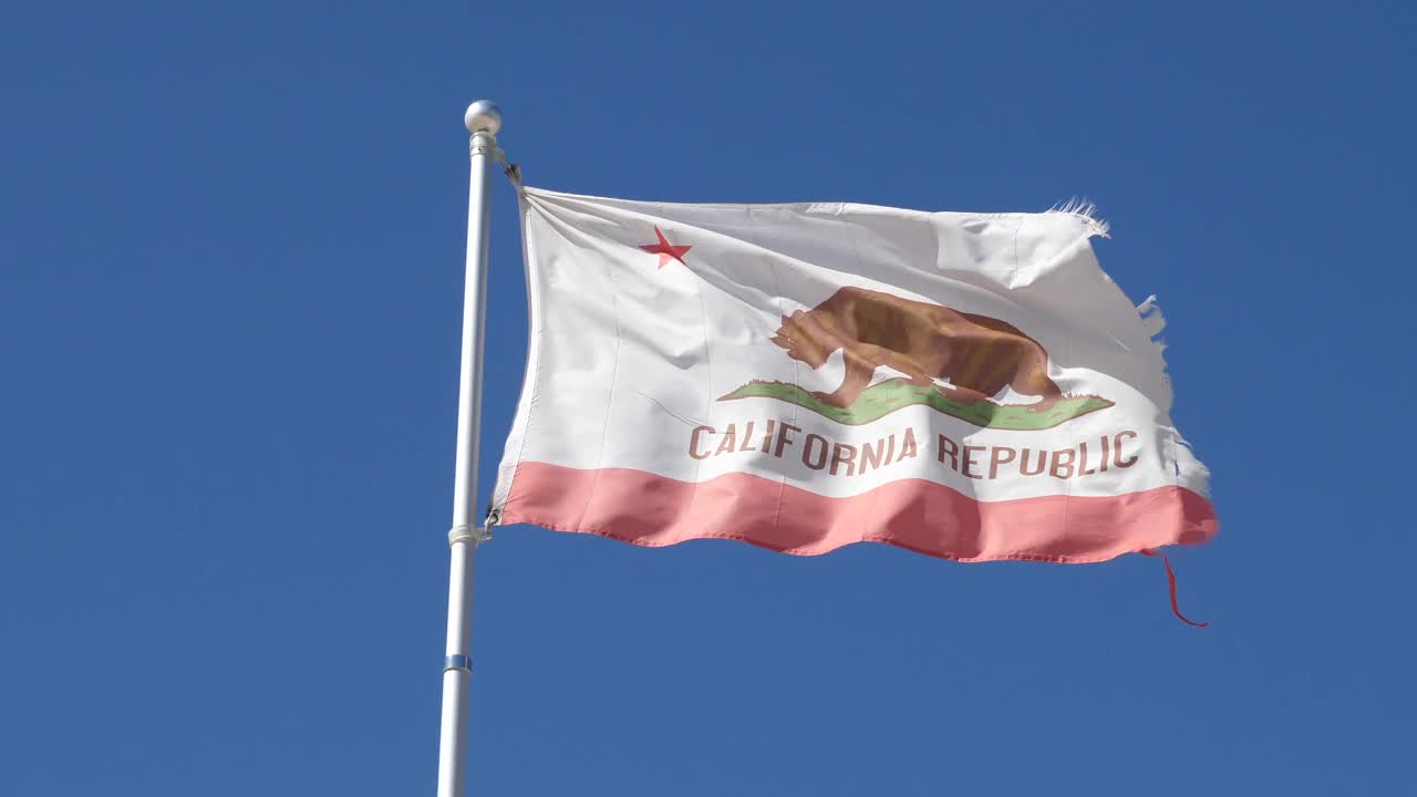 摇摆着粗糙边缘的加利福尼亚旗视频素材