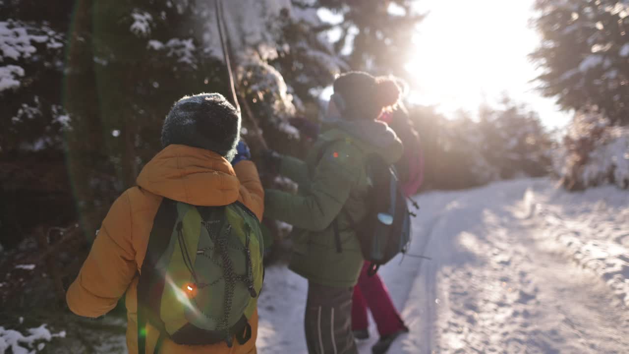三个孩子喜欢在冬天的森林里远足。视频下载