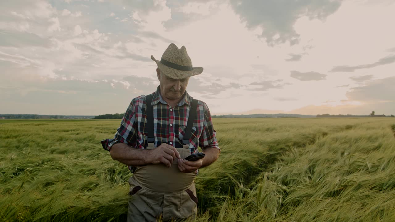 站在田地中间用手机打电话的资深农民视频素材