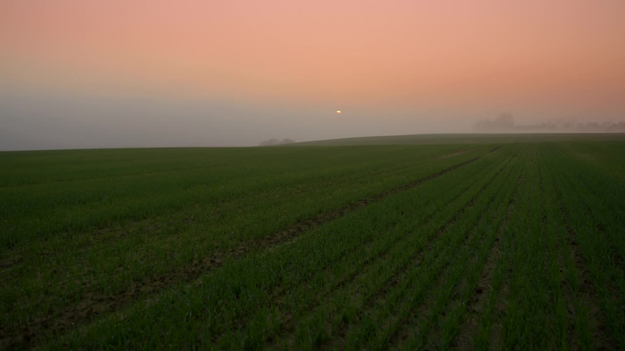 黄昏时分，一名农民在田野上行走，检查植物视频下载