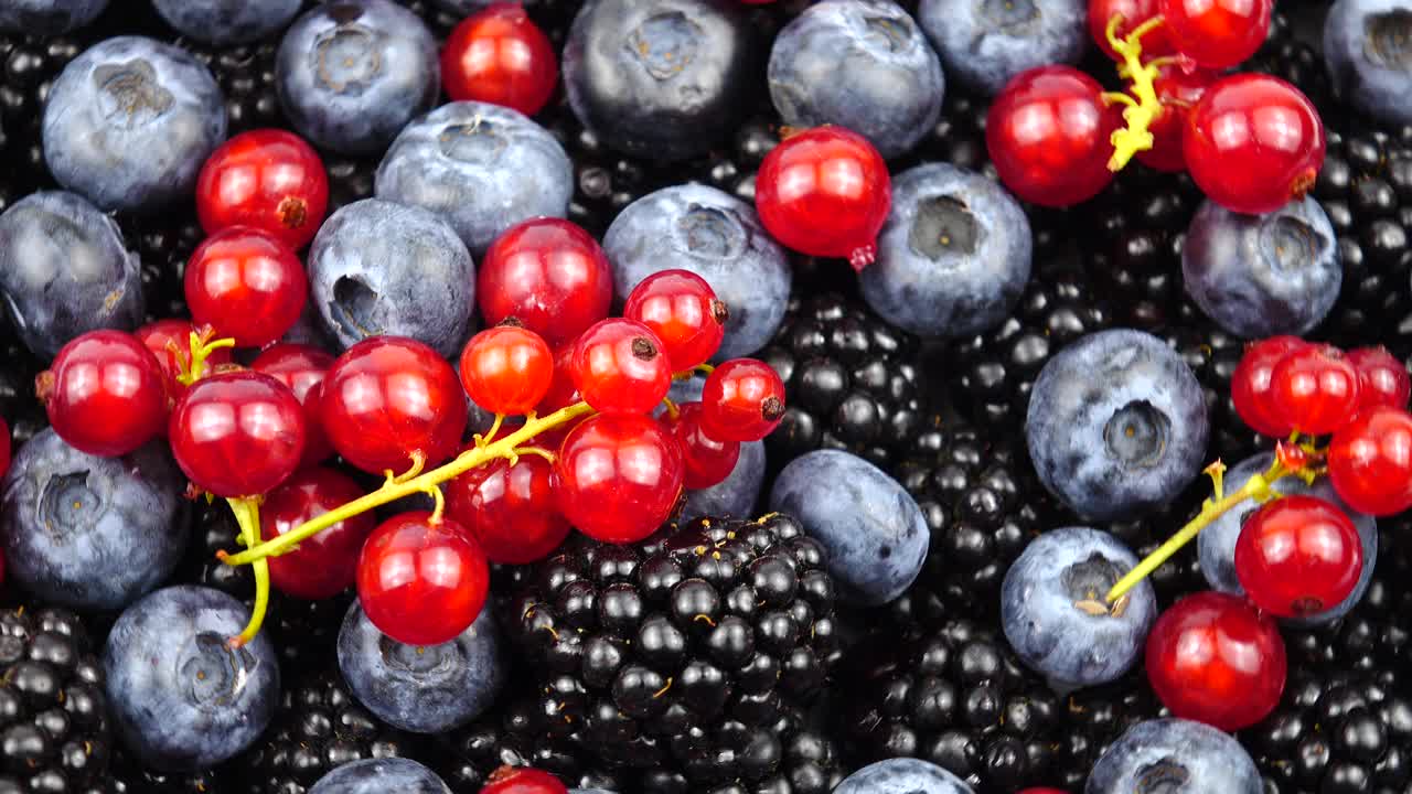 成熟的生浆果红醋栗，黑莓和蓝莓，背景视频下载