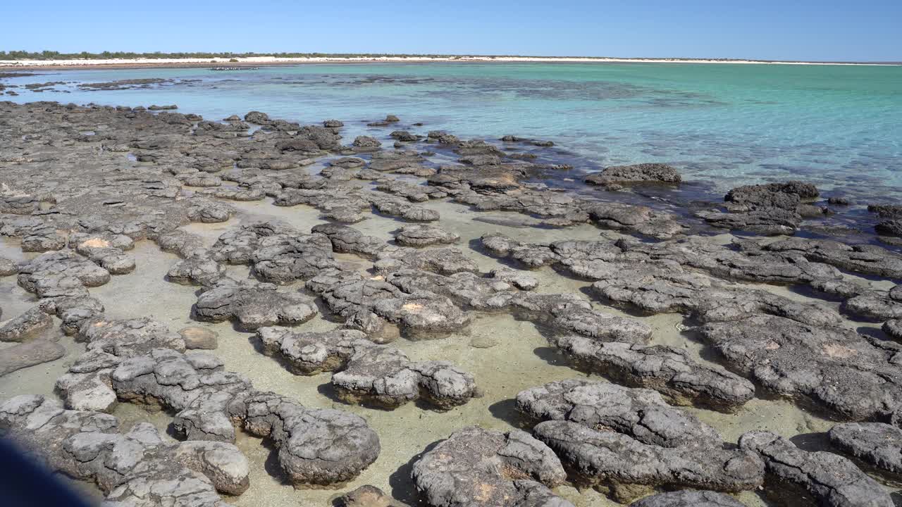 叠层石:由细菌形成的史前类岩石结构(澳大利亚西部)视频素材