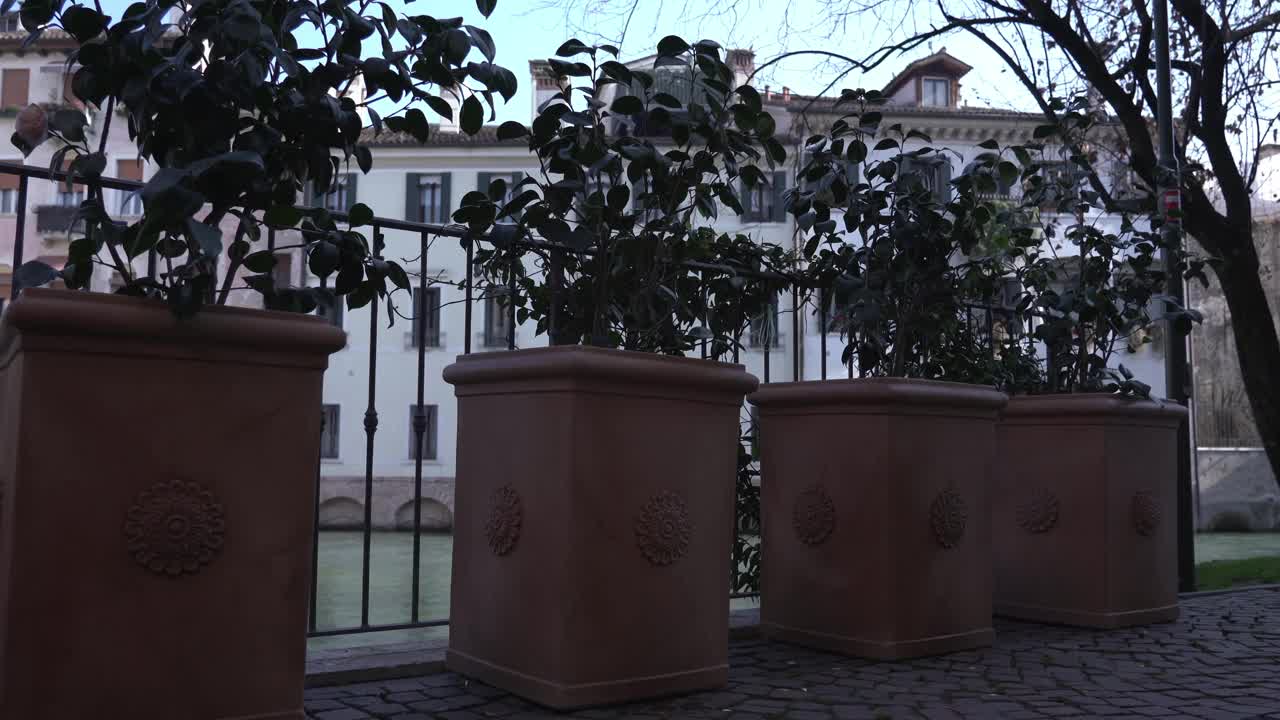 设计的花盆与树木对抗建筑地标视频下载