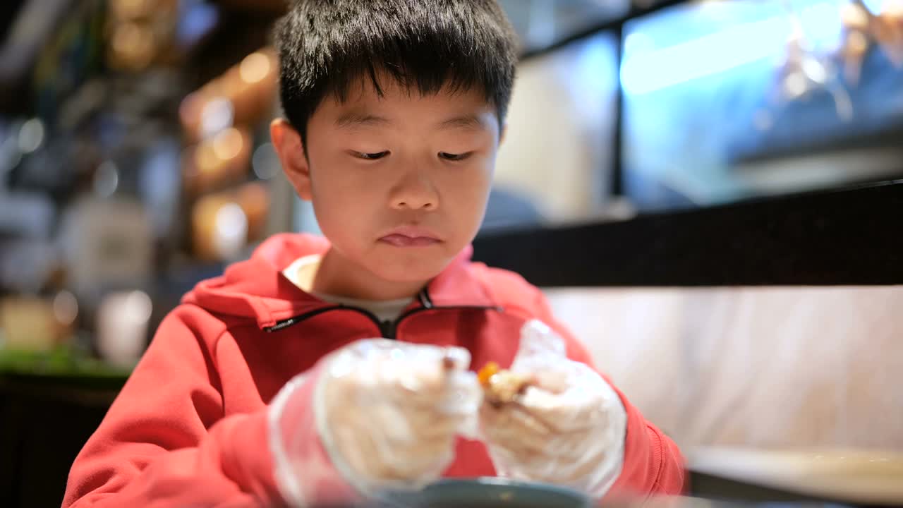小男孩在吃烤乳鸽视频下载