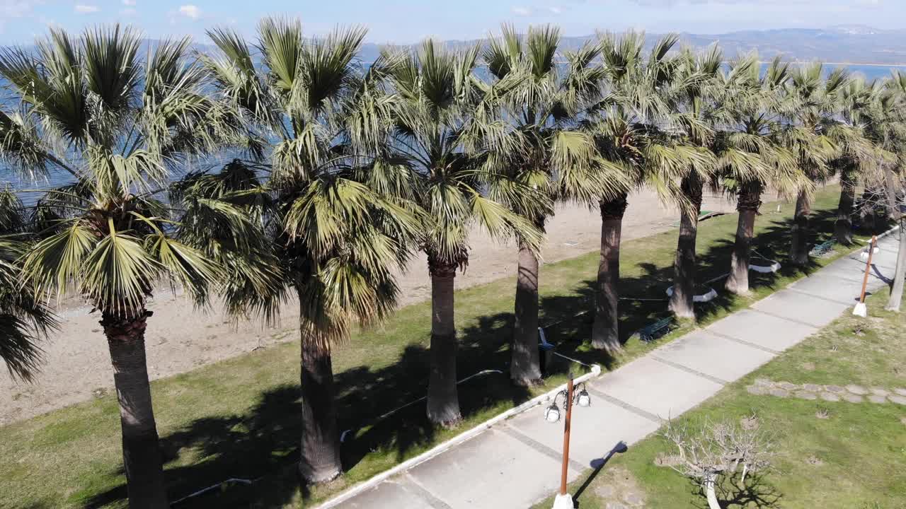 棕榈树环绕的伊兹尼克湖视频下载