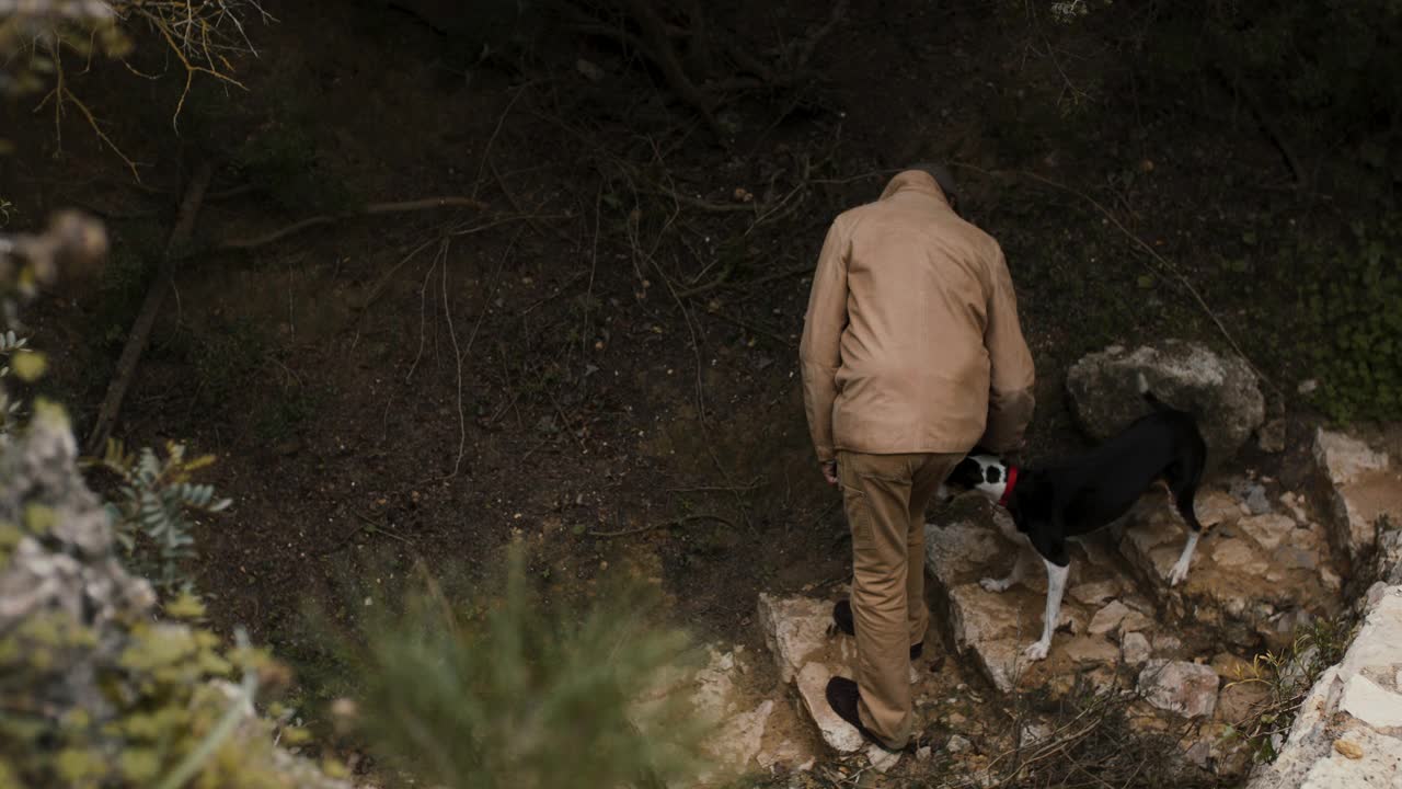 一位老人在散步时抚摸他的狗视频素材