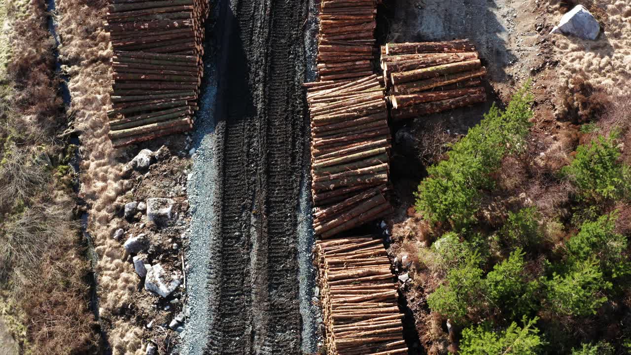 待采集的被砍伐木材的无人机图像视频下载
