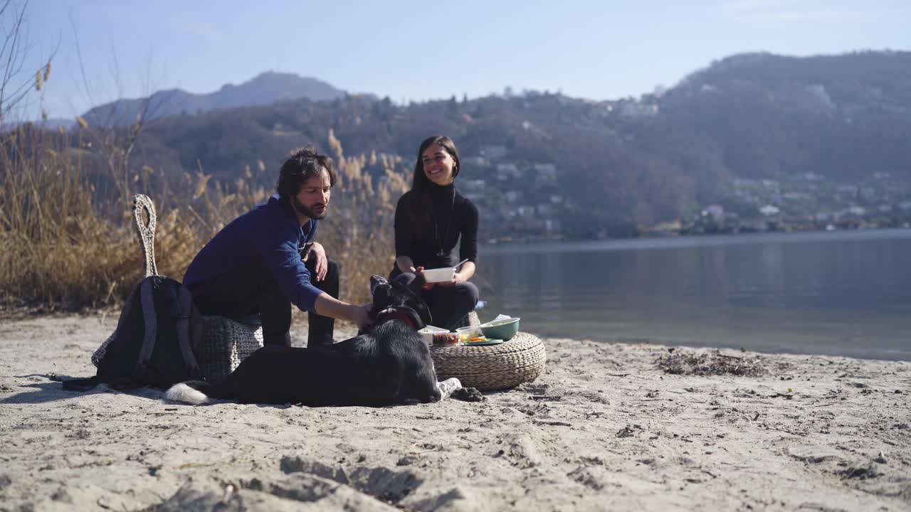 两个朋友一起在海滩上吃健康午餐，抚摸着狗。视频素材