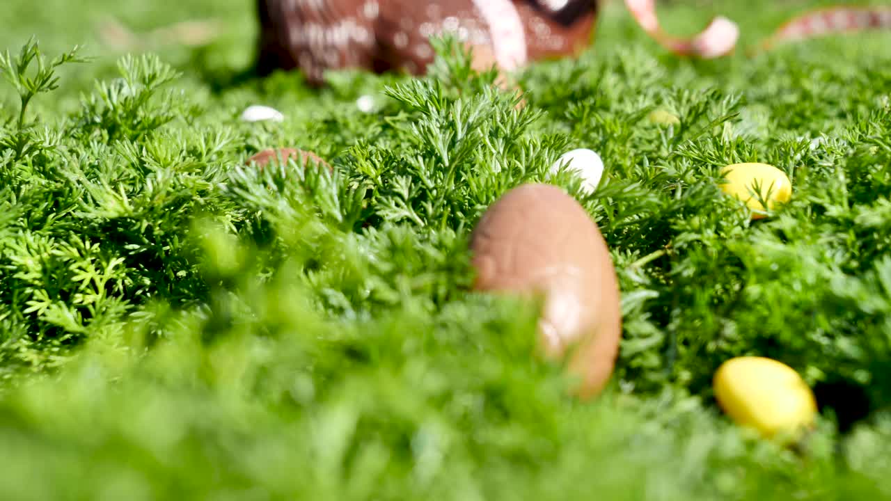 花园里的复活节巧克力蛋视频素材