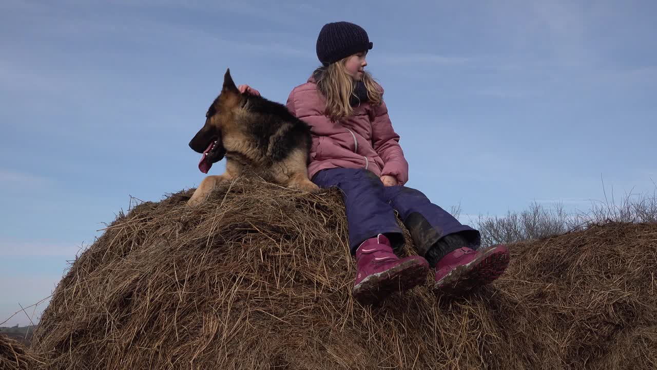 可爱的小女孩和德国牧羊犬在稻草捆上。视频素材