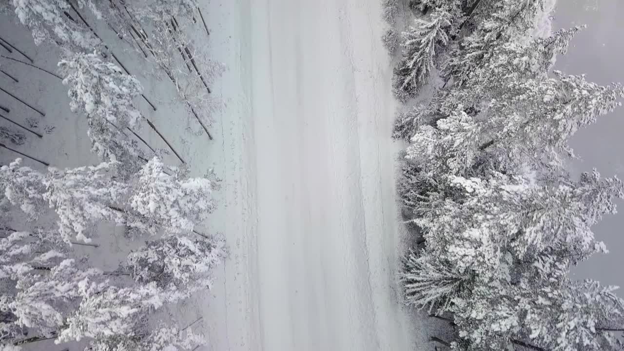 空雪覆盖的道路之间的积雪森林，低空中从上到下的视图视频素材