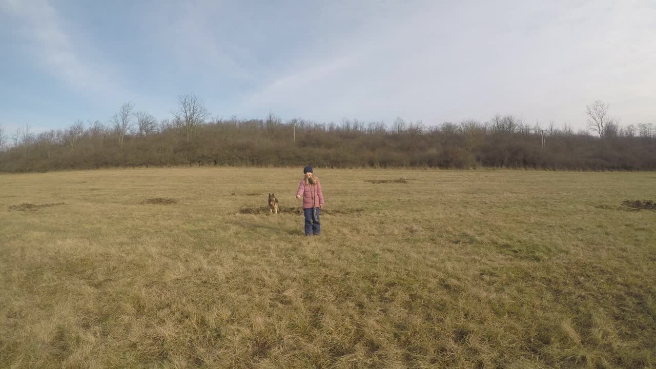 可爱的小女孩带着一只德国牧羊犬和一只巧克力色的拉布拉多寻回犬在田野里。视频素材