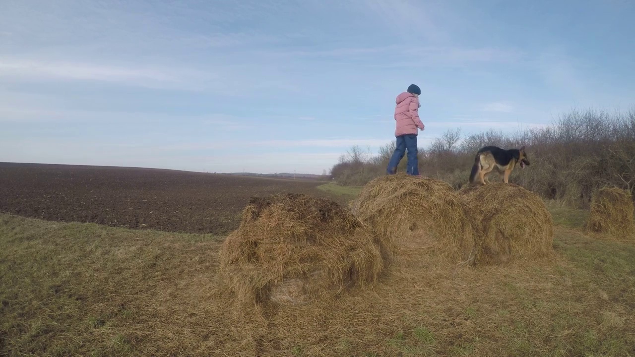 可爱的小女孩和德国牧羊犬一起跳在稻草捆上。视频素材