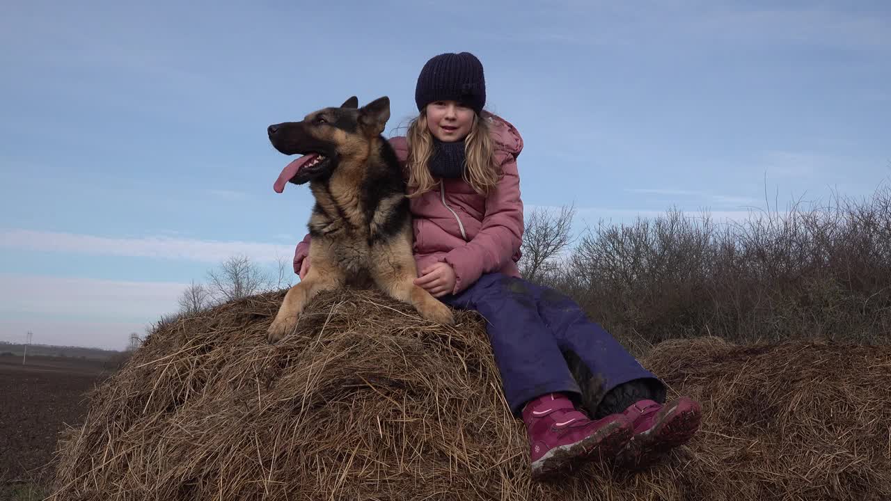 可爱的小女孩和德国牧羊犬在稻草捆上视频素材