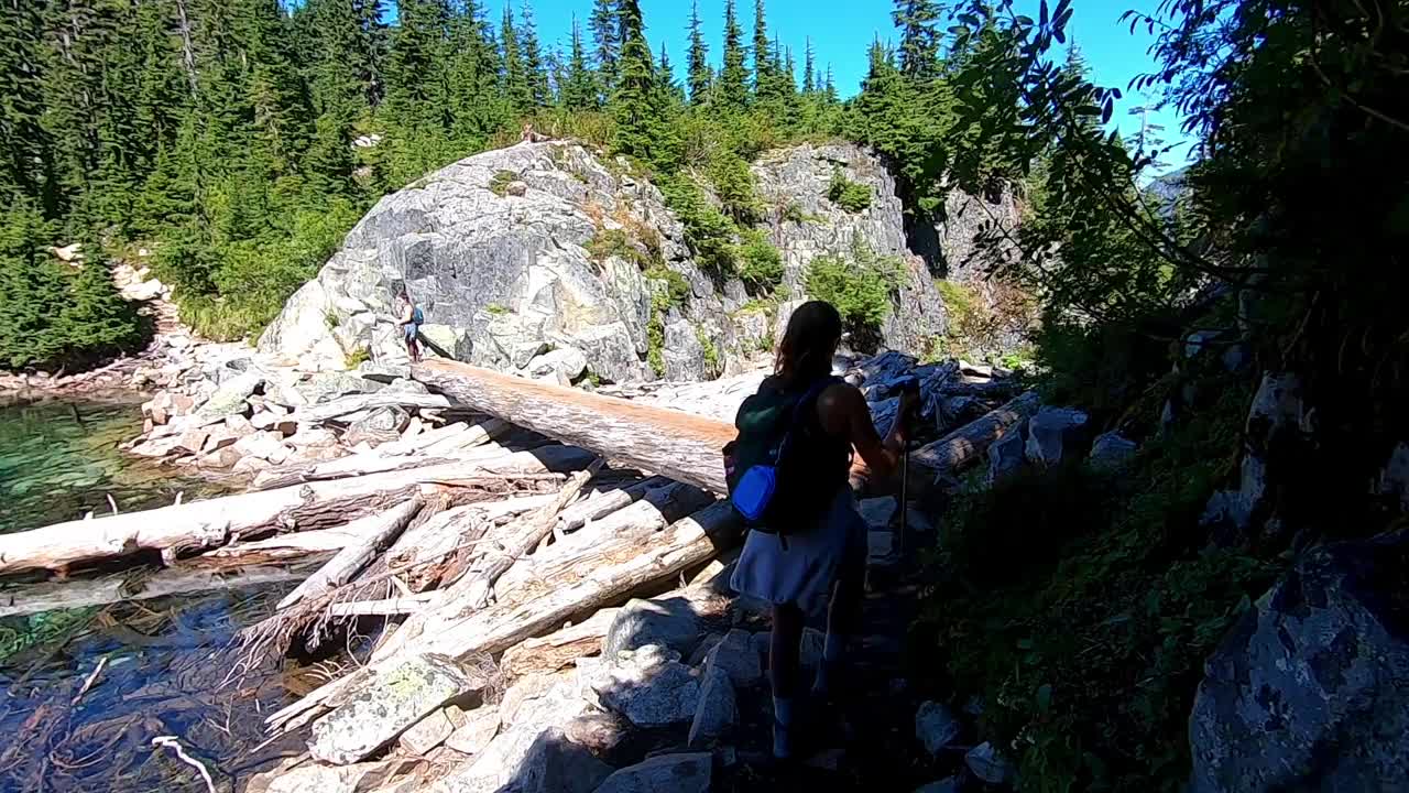 在美丽的山景中徒步穿越一根原木视频下载