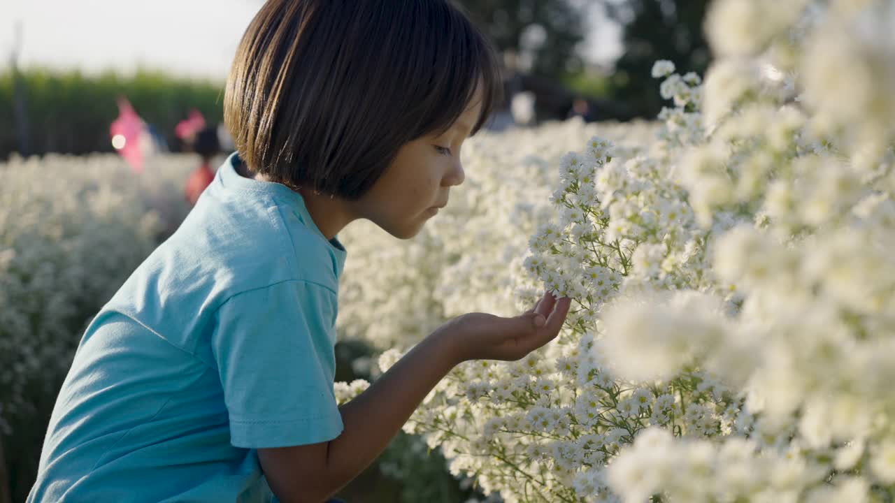 小女孩欣赏着田野里盛开的鲜花视频素材