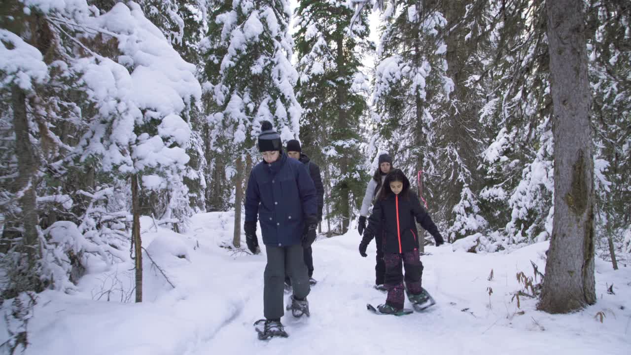 一家人穿雪鞋穿过白雪覆盖的树林视频下载