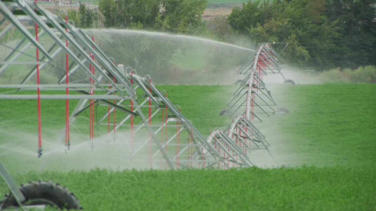 苜蓿农田的中心支点灌溉系统。视频素材