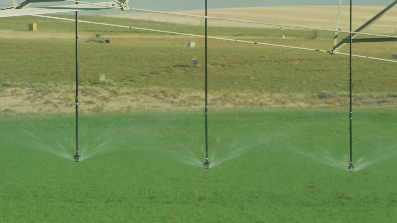 水从中心支点灌溉系统喷洒在农田的苜蓿。视频素材