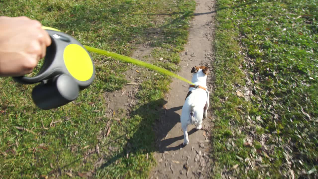 女士沿着破旧的轨道走着，牵着一条带着黄色皮带的狗视频下载