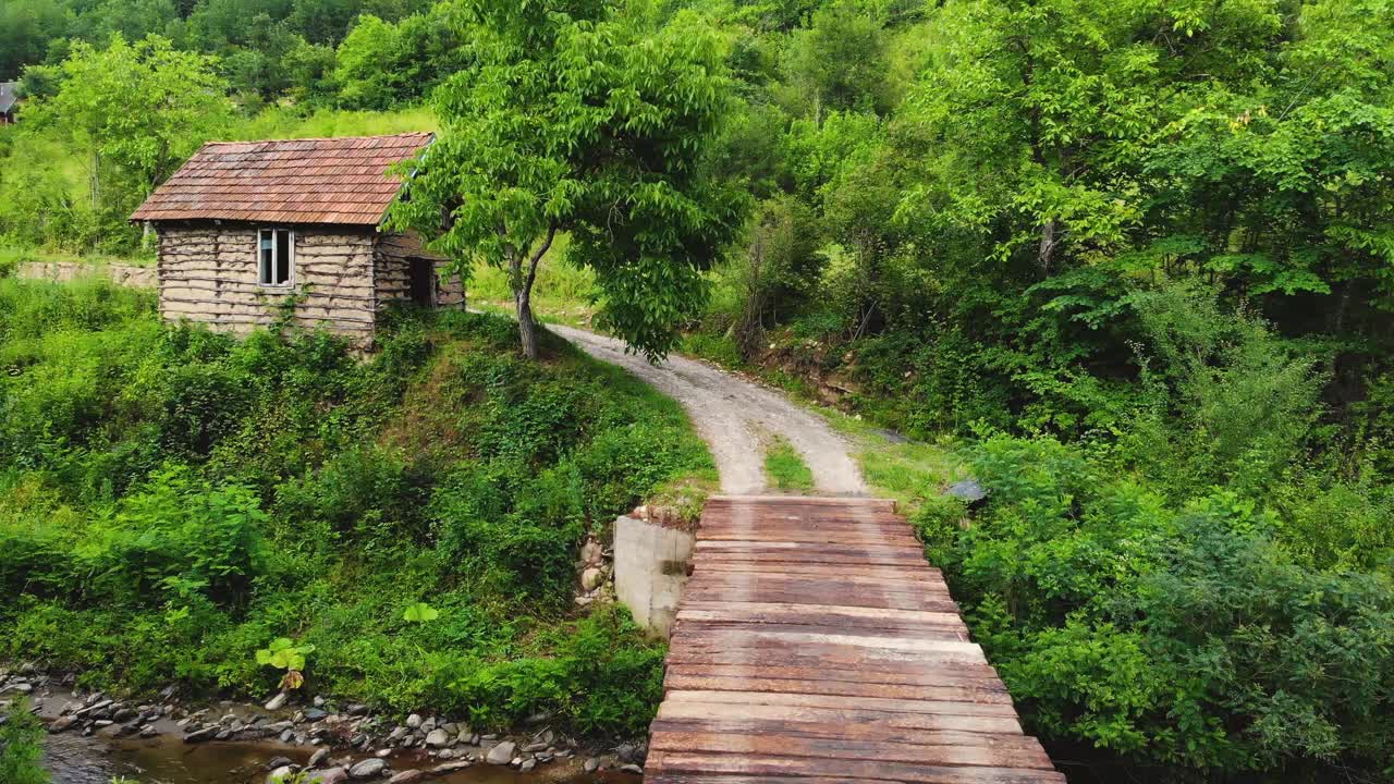 河上的一座步行桥在一棵天然的老森林树上。视频素材