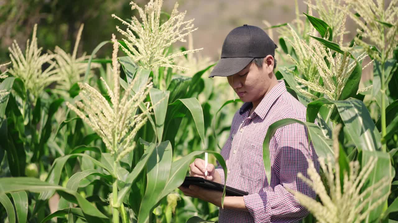 农民在他的农场使用数字平板电脑视频下载