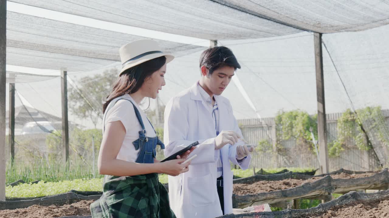 20-30岁的亚裔农民和科学家。谈谈在你的花园里种植的有机蔬菜，作为你自己的膳食，并使用它们作为原料为她的餐厅的顾客做饭。视频下载