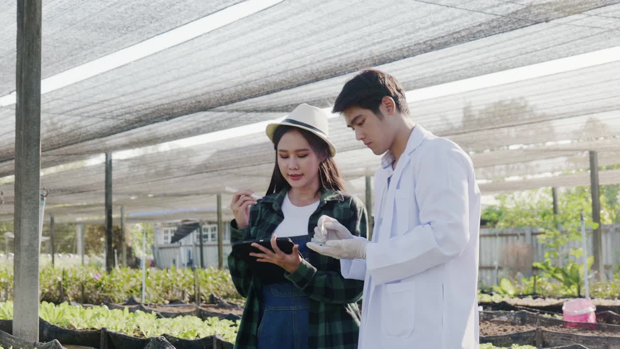 20-30岁的亚裔农民和科学家。谈谈在你的花园里种植的有机蔬菜，作为你自己的膳食，并使用它们作为原料为她的餐厅的顾客做饭。视频下载