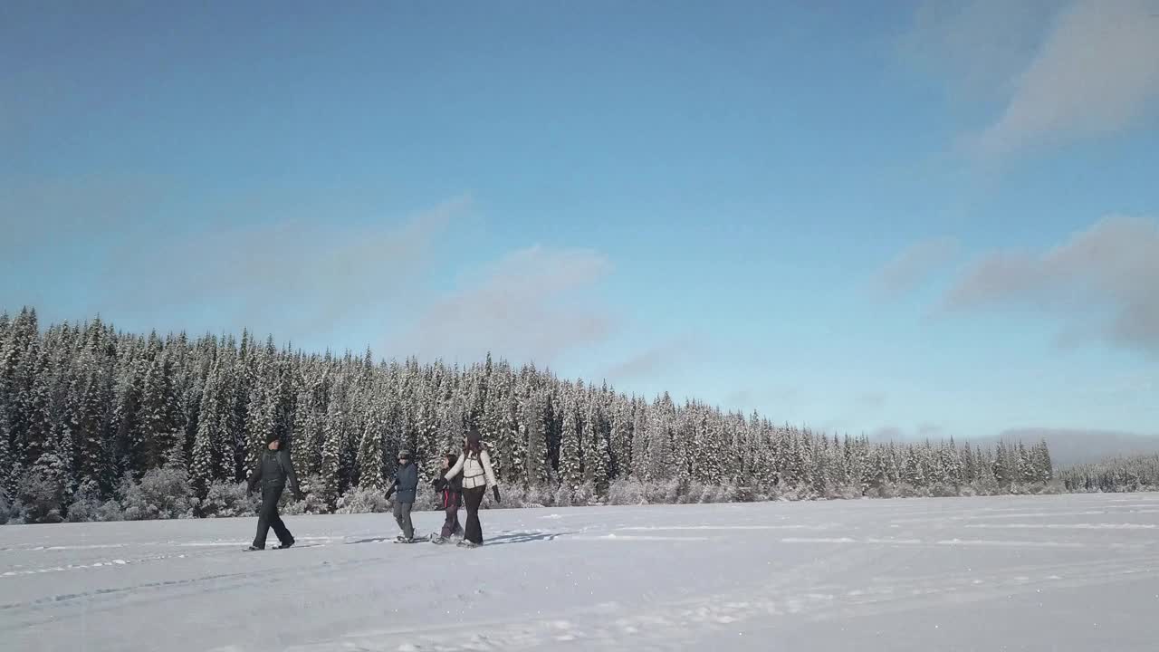 无人机拍摄-家庭雪鞋的低矮上升盘，背景是树视频素材