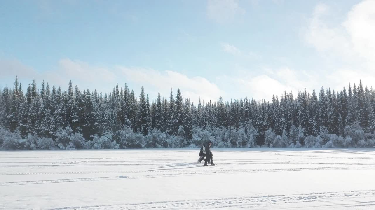 无人机拍摄的家庭雪鞋视频素材