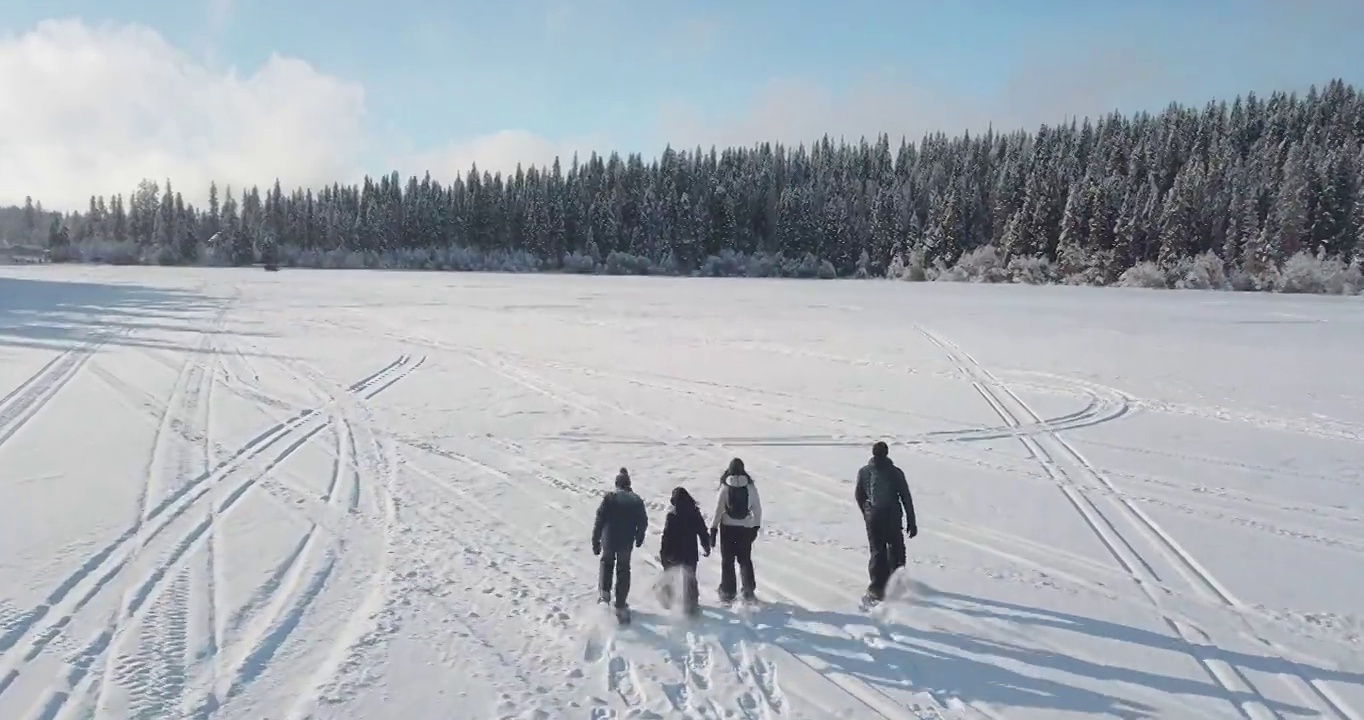 无人机从头顶拍摄了一家人穿雪鞋的照片视频素材