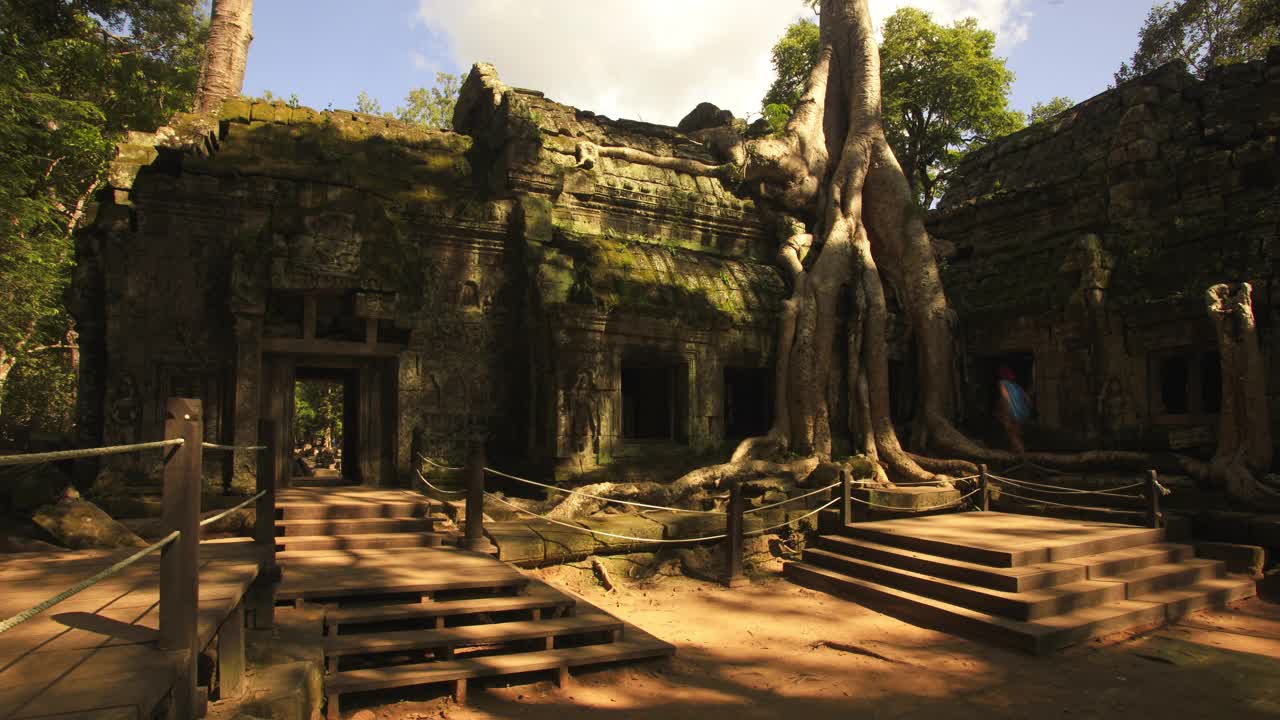 游客在柬埔寨吴哥窟的塔普罗姆寺拍照视频素材