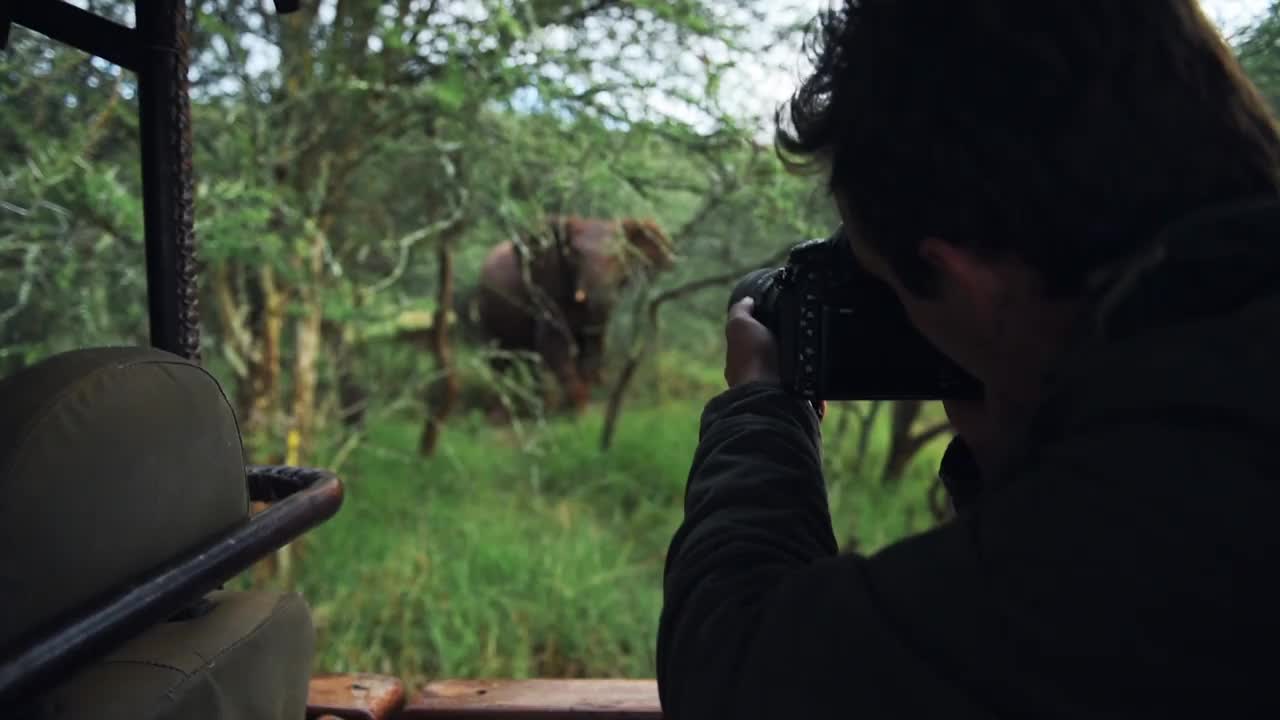 摄影师拍摄的领土野生大象，在丛林，肯尼亚，非洲视频下载