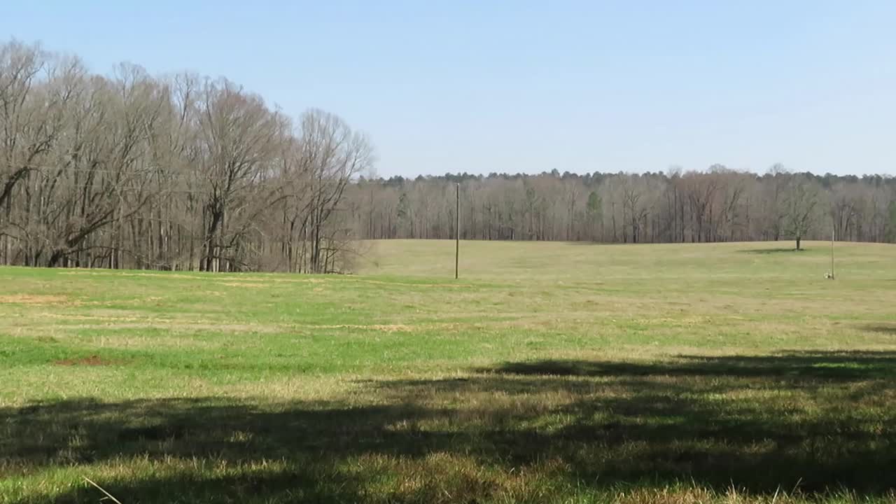 乔治亚州的牧场视频素材