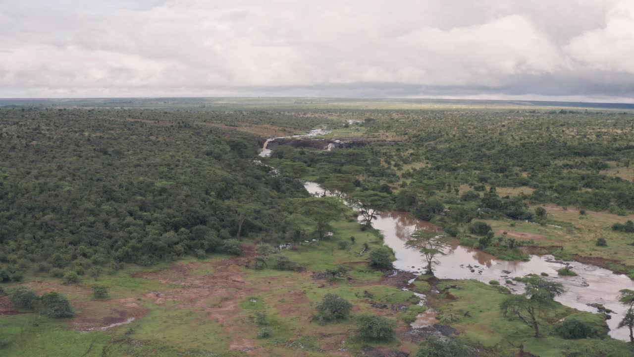肯尼亚莱基皮亚的河流和热带草原野生动物保护保护区。空中无人机视图视频素材