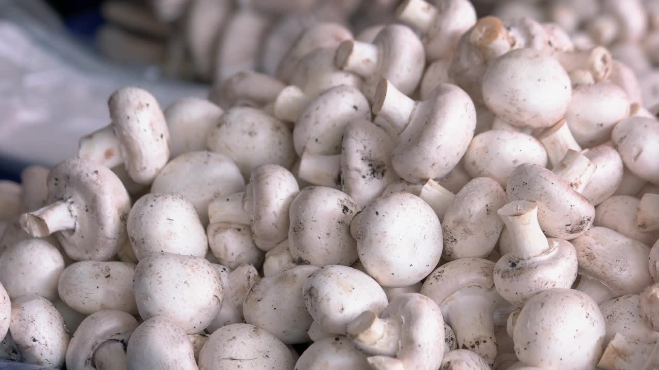 农贸市场上的有机蘑菇。视频素材