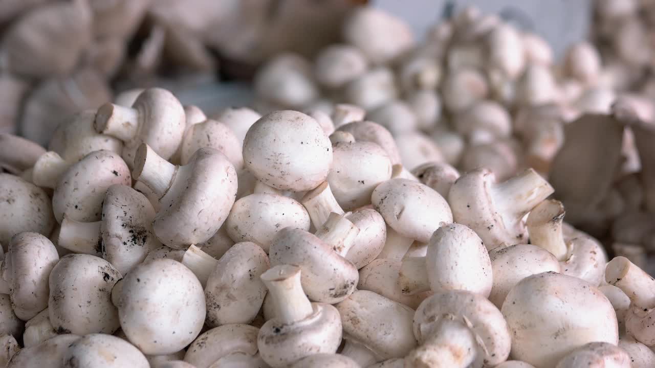 农贸市场上的有机蘑菇。视频素材