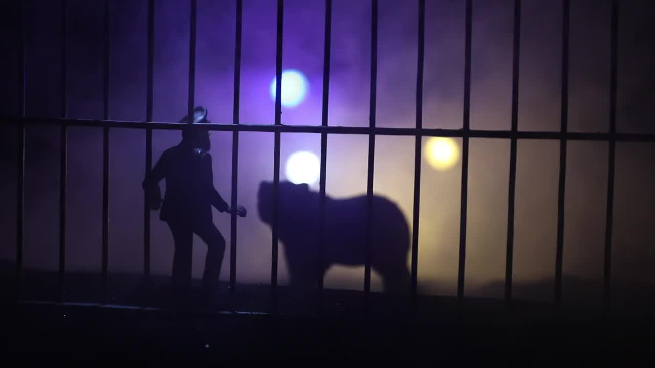 一只微型熊的剪影站在动物园的笼子里，和受惊的人准备攻击。创意装饰与彩色背光与雾。有选择性的重点视频下载