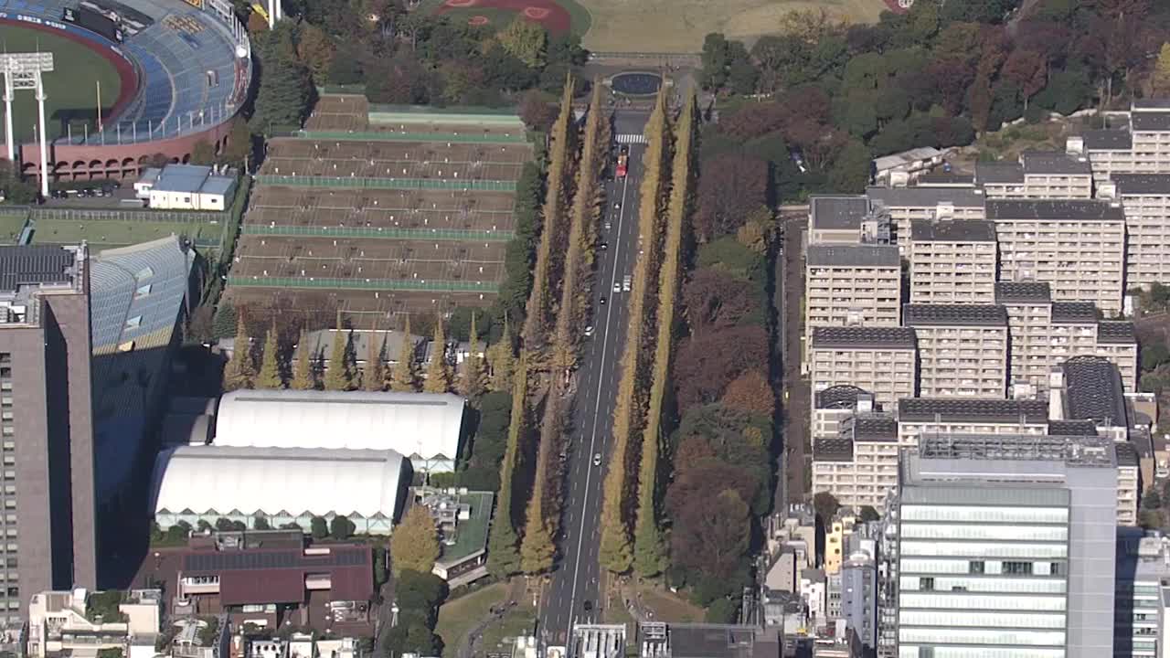 空中，银杏大道在神宫Gaien，东京，日本视频下载