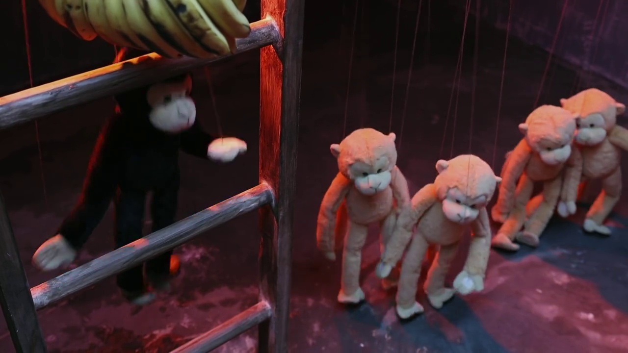 中等镜头的猴子木偶跳舞和试图抓住香蕉挂在木偶戏视频下载