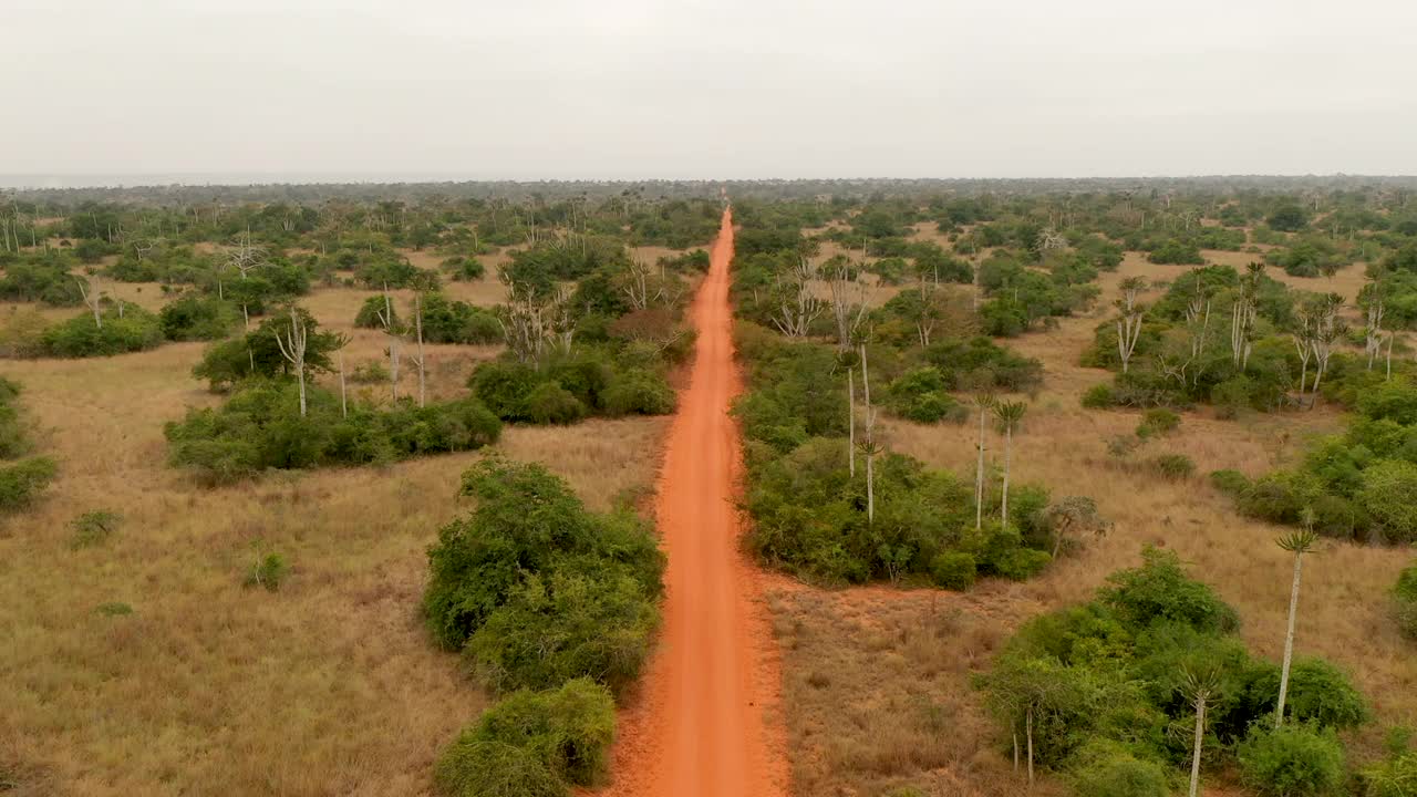 野生非洲漫长的道路和大羚羊动物交叉，在背景长颈鹿视频下载