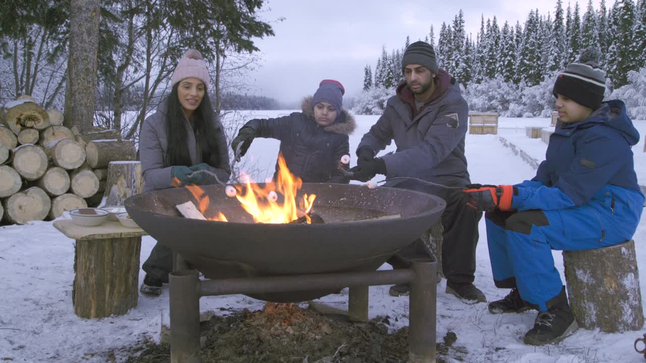 全家围坐在冬天的炉火旁烤棉花糖视频下载