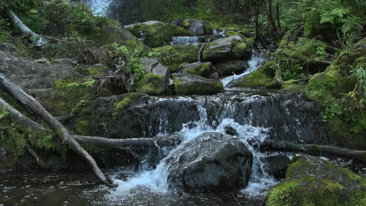 热带森林的高山瀑布全景。河边的岩石上长满了苔藓和绿草。老树干躺在岸边。小溪沿着悬崖冒着泡沫流淌视频素材